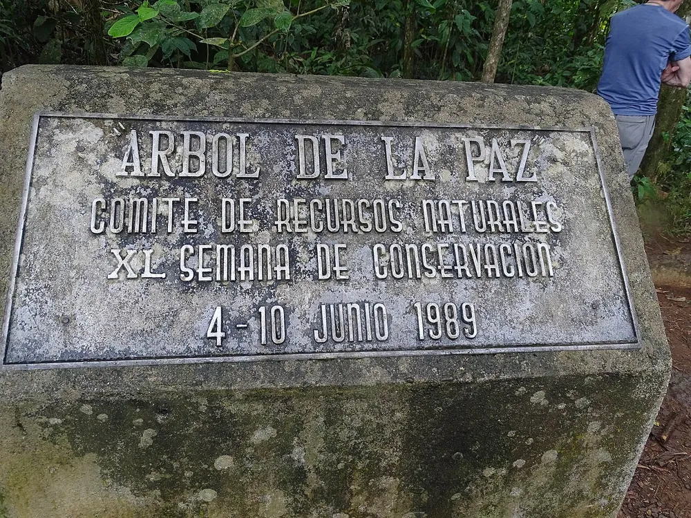 Árbol de la Paz (Tree of Peace), nature spot in Arenal & La Fortuna (photo 5 of 5)