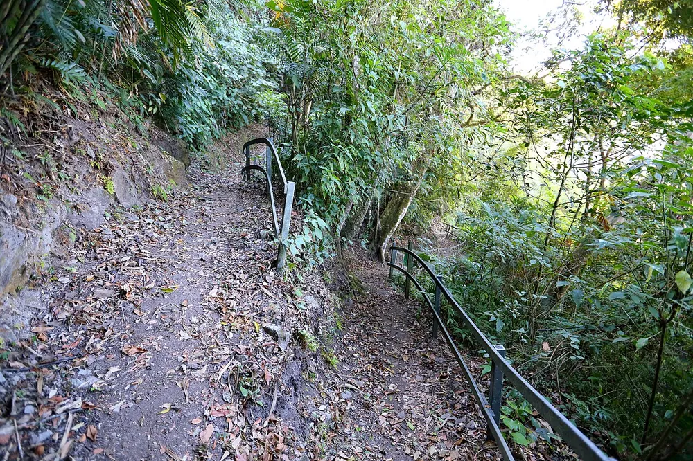 Bajo del Tigre (Children's Eternal Rainforest), sendero en Monteverde (foto 3 de 3)