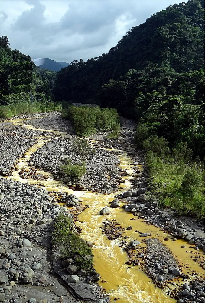 Braulio Carrillo National Park (Quebrada González entrance), parque en Caribe (foto 2 de 3)