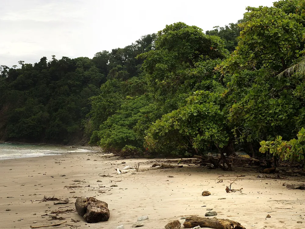 Cabo Blanco Reserve — Swedish Trail, sendero en Península de Nicoya (foto 1 de 3)