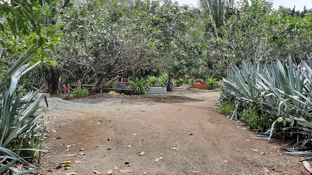 Cabuya Island Cemetery, landmark in Nicoya Peninsula (photo 3 of 3)