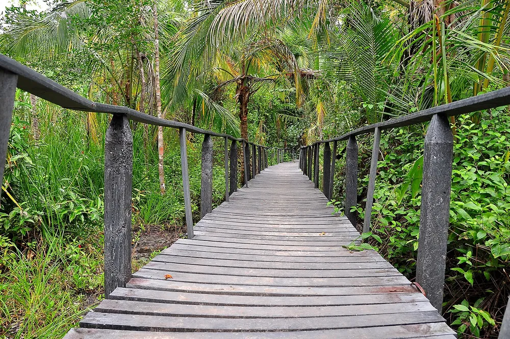 Cahuita National Park (Kelly Creek), sendero en Caribe (foto 1 de 3)