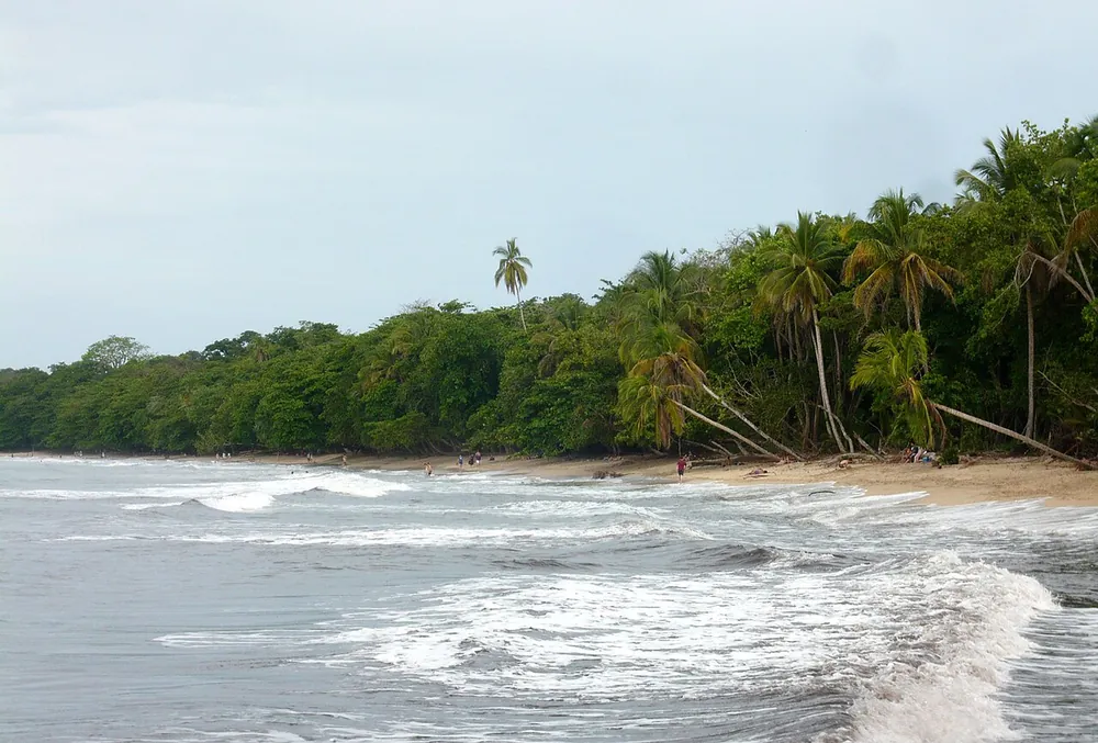 Cahuita National Park (Kelly Creek), sendero en Caribe (foto 3 de 3)