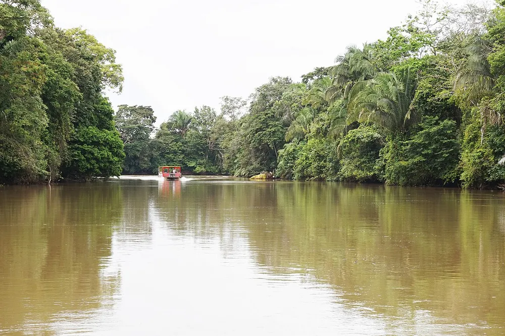Cano Negro Wildlife Refuge (Rio Frio boat access), park in Arenal & La Fortuna (photo 1 of 6)