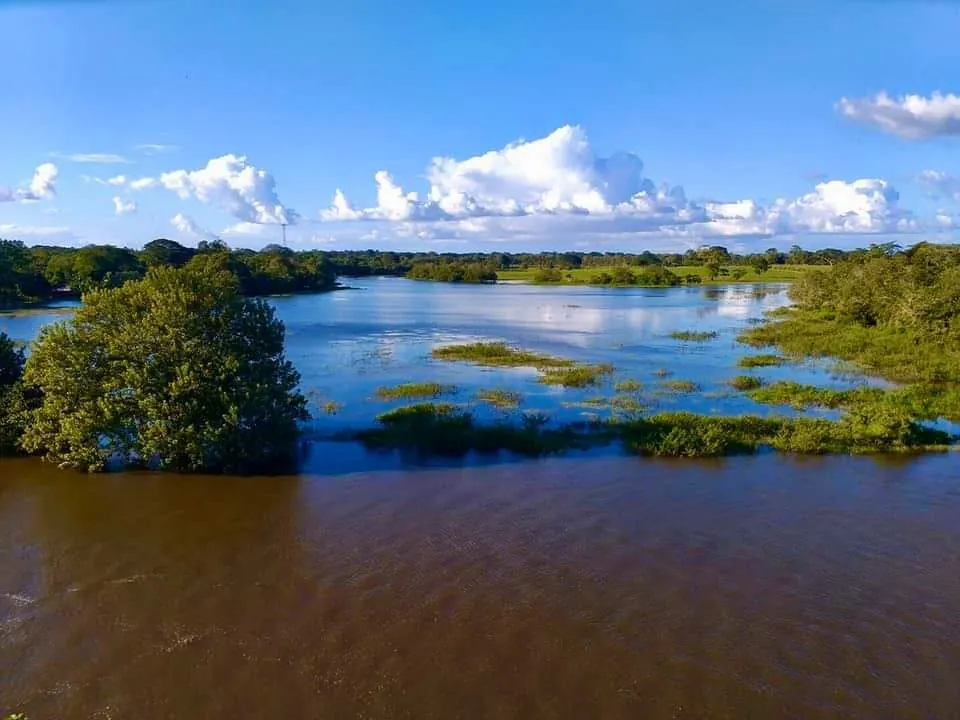 Cano Negro Wildlife Refuge (Rio Frio boat access), park in Arenal & La Fortuna (photo 3 of 6)
