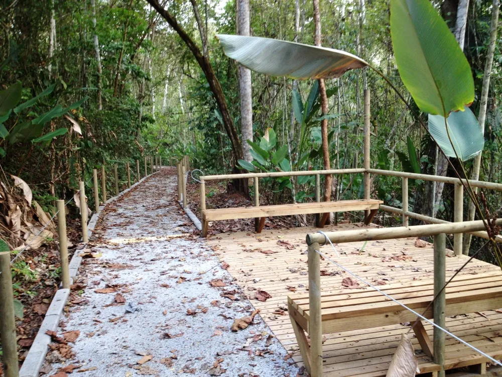 Carara National Park, trail in Jacó & Herradura (photo 1 of 4)