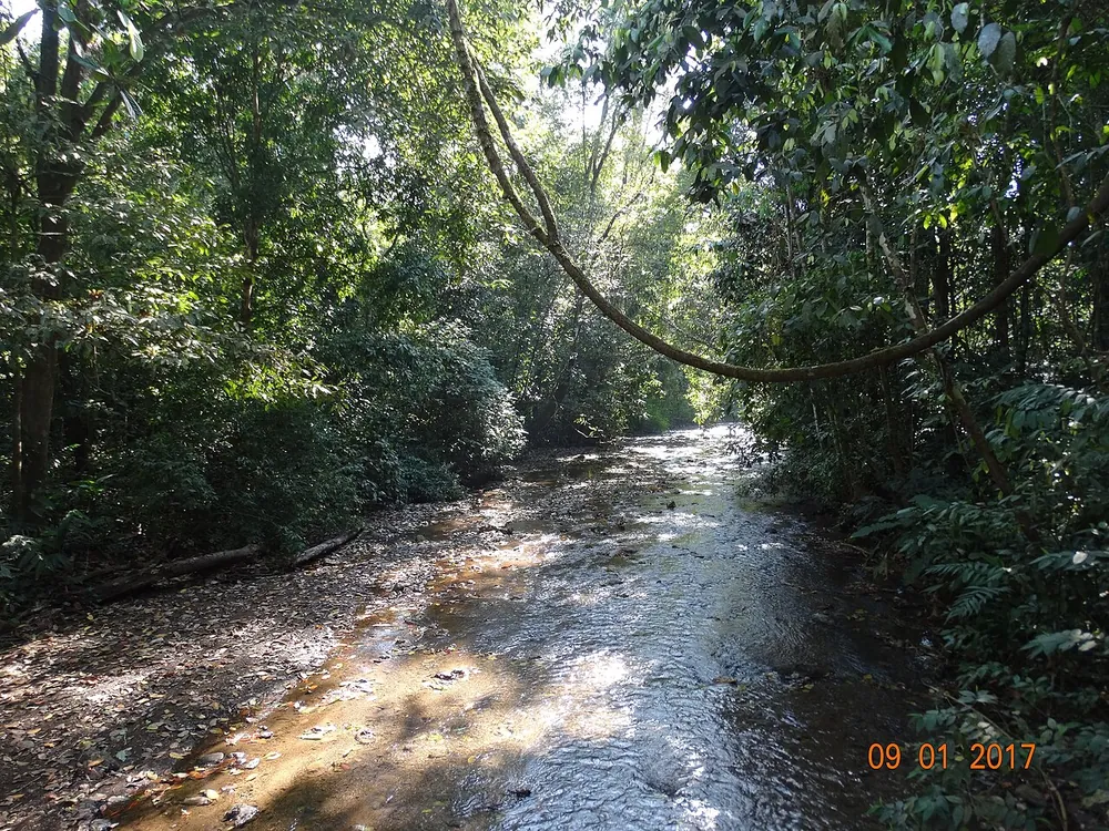 Carara National Park, trail in Jacó & Herradura (photo 2 of 4)