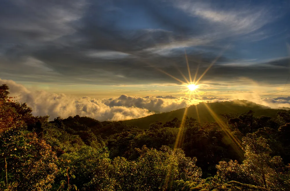 Cerro Amigos Summit Hike, trail in Monteverde (photo 1 of 2)