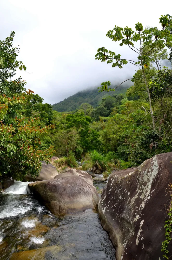 Cerro Chirripó trail (from San Gerardo de Rivas), trail in San José & Central Valley (photo 6 of 6)