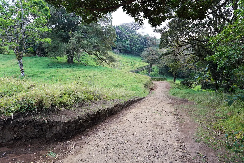 Curi-Cancha Reserve, trail in Monteverde (photo 1 of 3)
