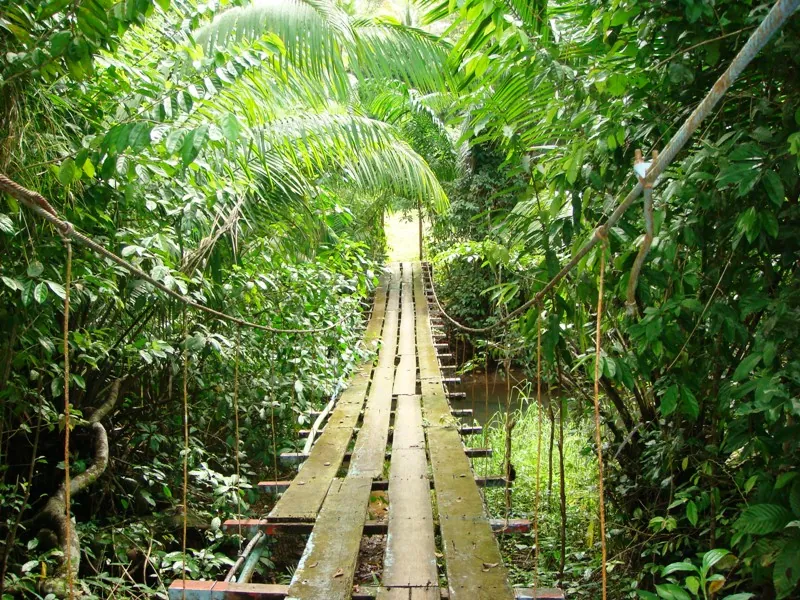 Drake Bay Hanging Footbridges, puente en Península de Osa (foto 2 de 4)