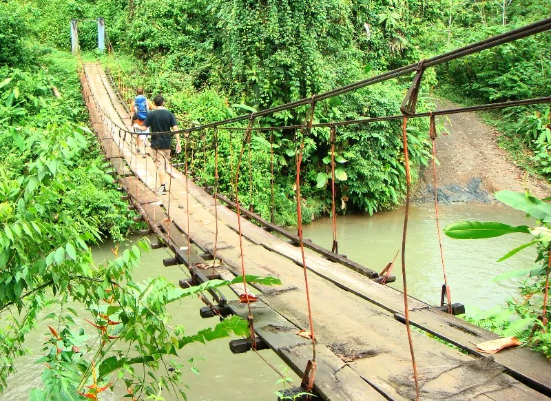 Drake Bay Hanging Footbridges, puente en Península de Osa (foto 3 de 4)