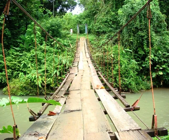 Drake Bay Hanging Footbridges, puente en Península de Osa (foto 4 de 4)