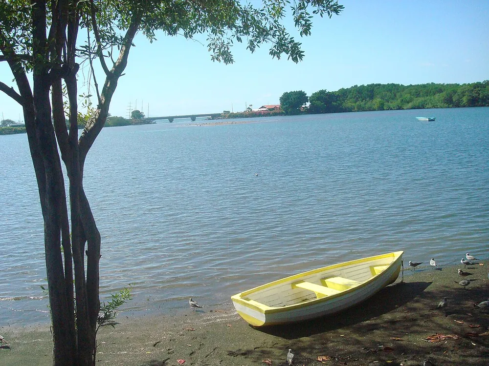 Estero Mata de Limón, nature spot in Jacó & Herradura