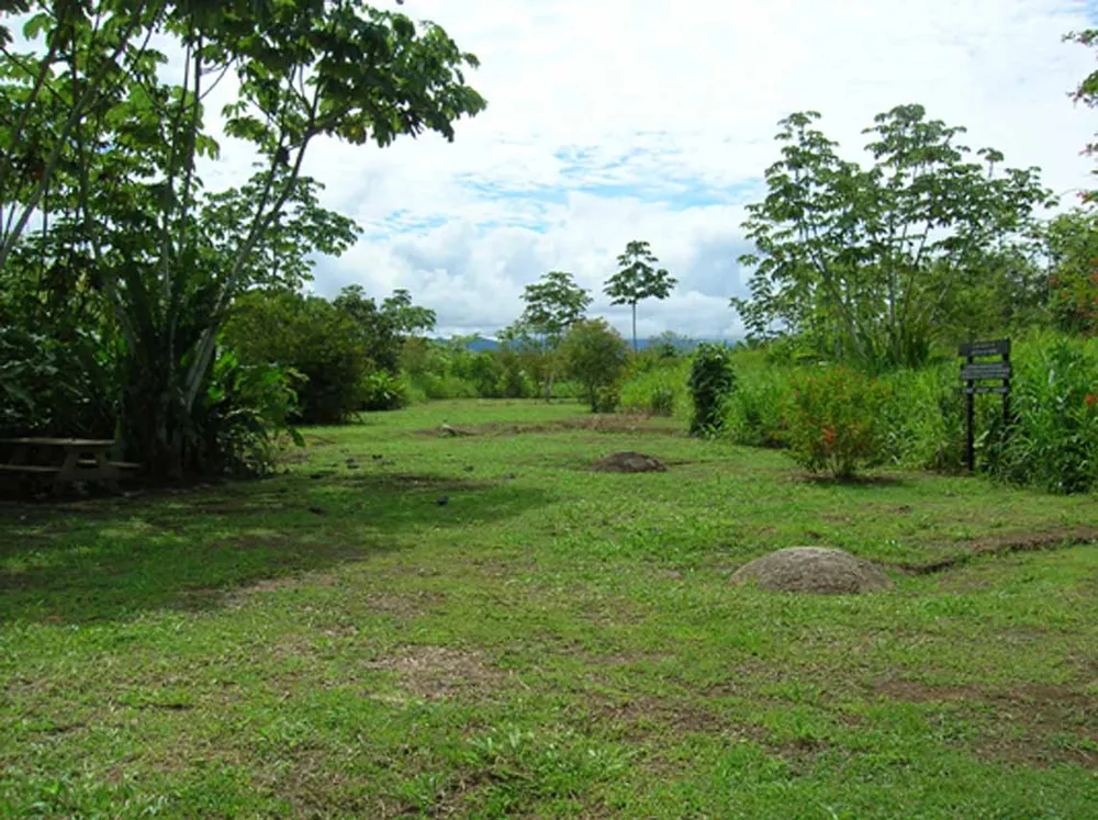 Finca 6 Stone Spheres, landmark in Osa Peninsula (photo 3 of 5)
