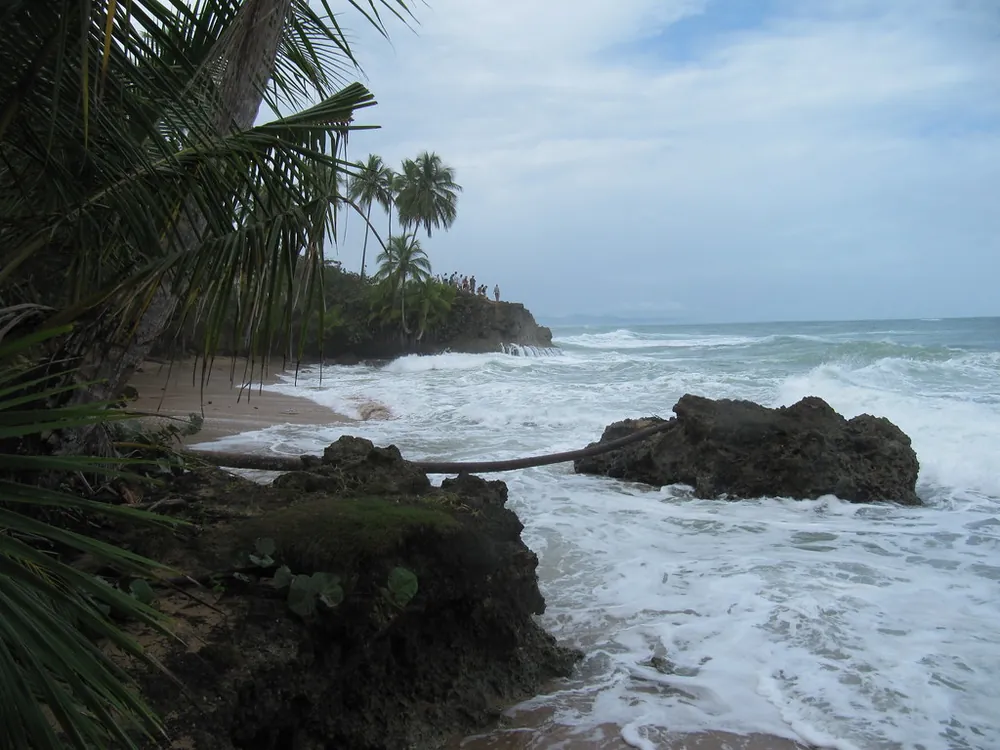 Gandoca-Manzanillo Wildlife Refuge (Manzanillo entrance), parque en Caribe (foto 4 de 4)