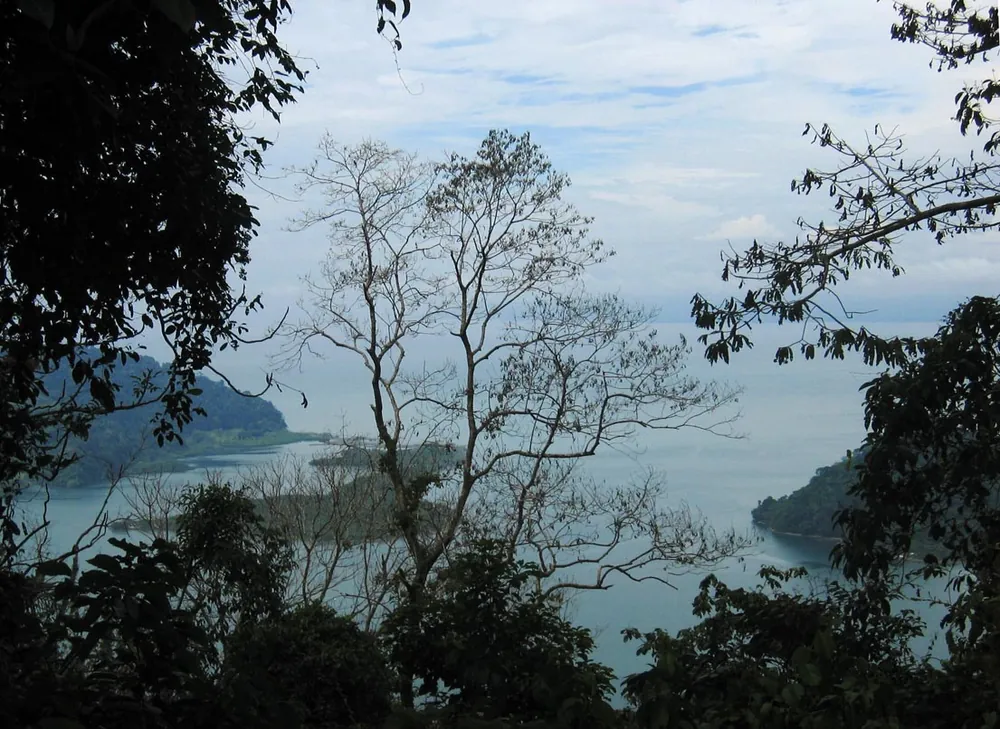 Mirador Picnic on the Las Torres road (Cerro Adams), Golfito, viewpoint in Osa Peninsula