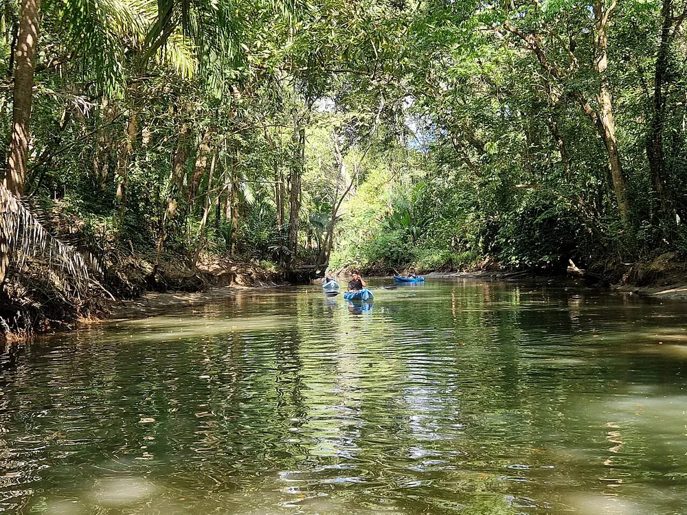 Damas Island Mangrove Estuary, nature spot in Central Pacific (photo 2 of 6)
