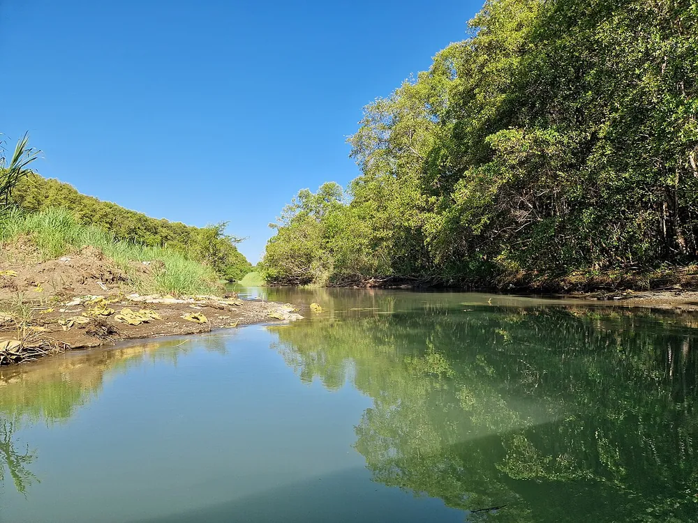 Damas Island Mangrove Estuary, nature spot in Central Pacific (photo 6 of 6)