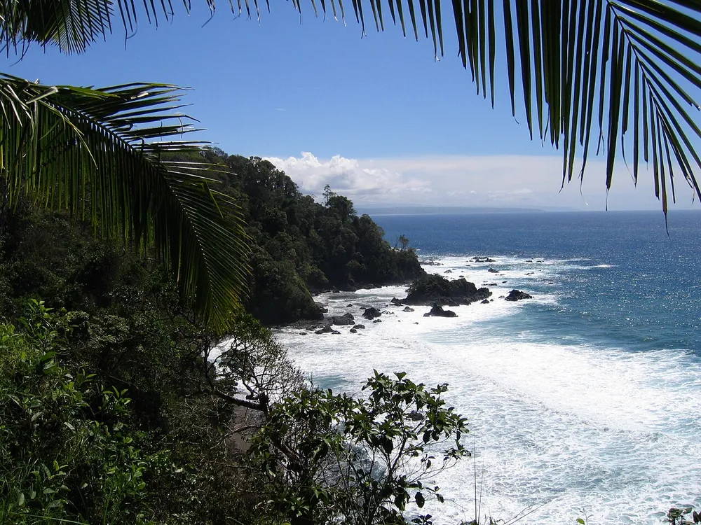 Isla del Caño Biological Reserve, nature spot in Osa Peninsula (photo 1 of 5)