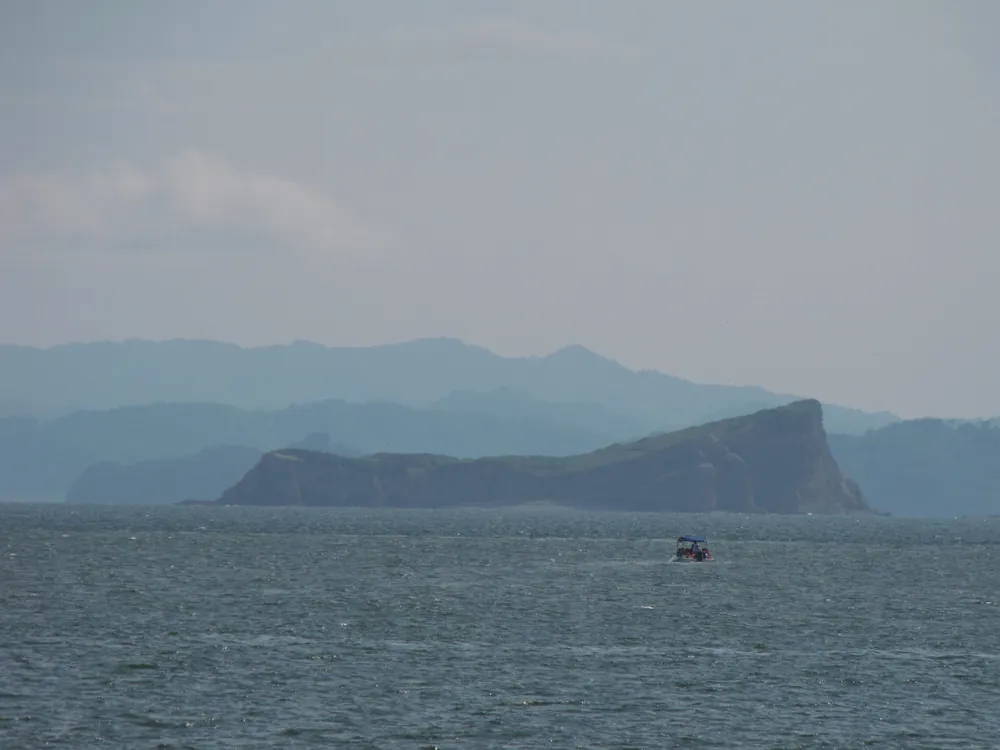 Isla Guayabo pelican colony (seen from the ferry), naturaleza en Península de Nicoya (foto 3 de 3)