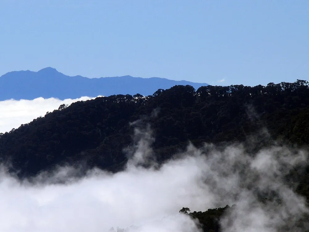 La Amistad International Park (Altamira sector), park in Osa Peninsula (photo 1 of 3)
