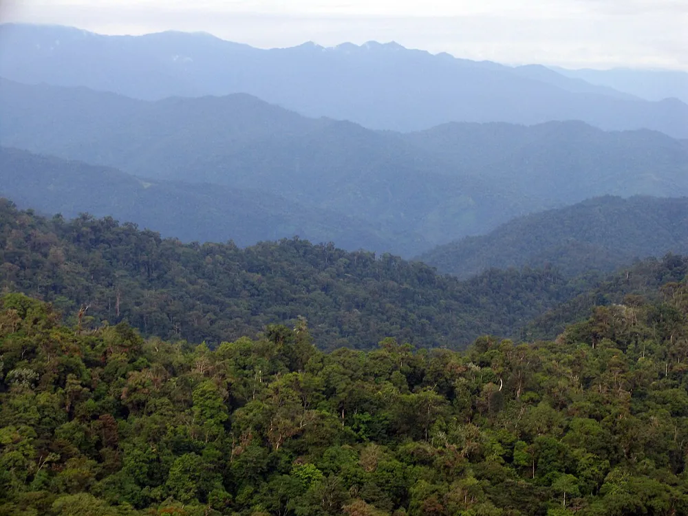 La Amistad International Park (Altamira sector), park in Osa Peninsula (photo 2 of 3)