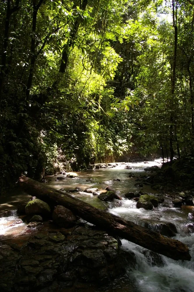 Parque Nacional La Cangreja, parque en San José y Valle Central (foto 2 de 4)