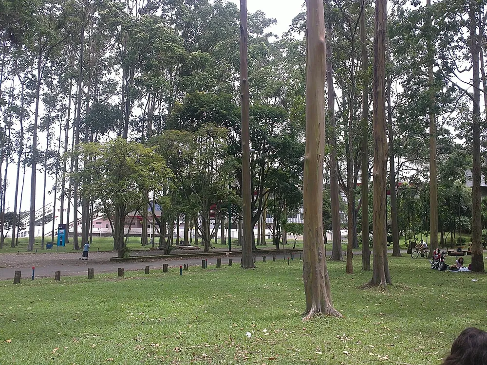 Parque Metropolitano La Sabana, parque en San José y Valle Central (foto 6 de 6)