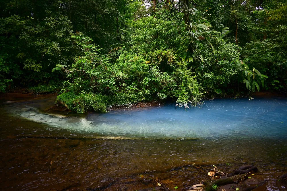 Laguna Azul & Borbollones, nature spot in Arenal & La Fortuna (photo 2 of 4)
