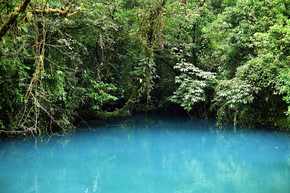 Laguna Azul & Borbollones, nature spot in Arenal & La Fortuna (photo 3 of 4)