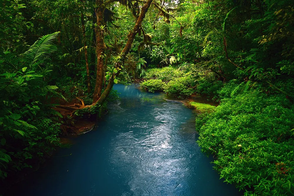 Laguna Azul & Borbollones, nature spot in Arenal & La Fortuna (photo 4 of 4)