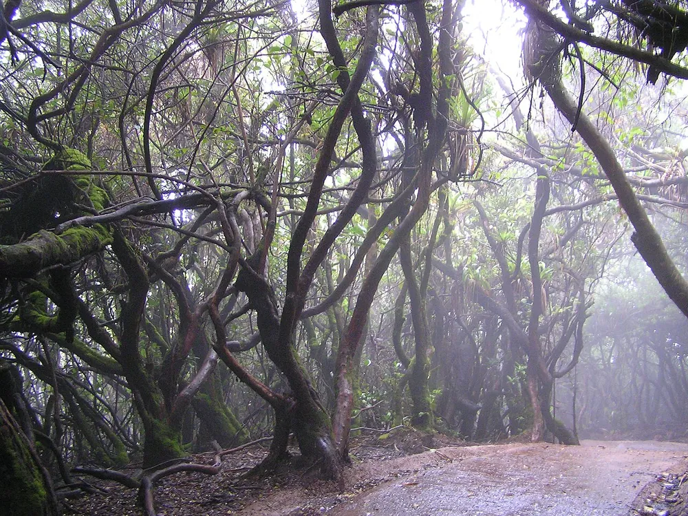 Sendero Laguna Botos (Poás), trail in San José & Central Valley (photo 5 of 5)