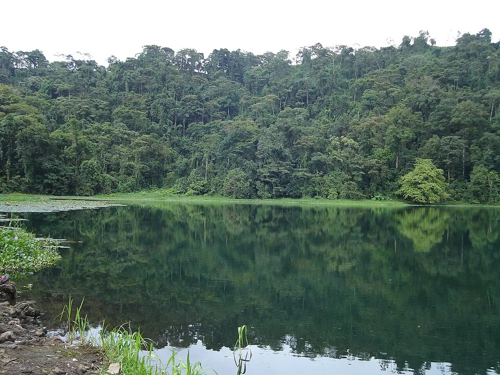 Laguna Hule, nature spot in San José & Central Valley (photo 2 of 4)