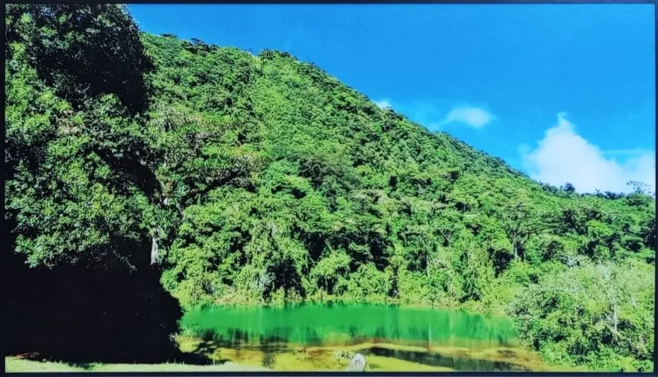 Laguna Pozo Verde (Juan Castro Blanco), nature spot in Arenal & La Fortuna