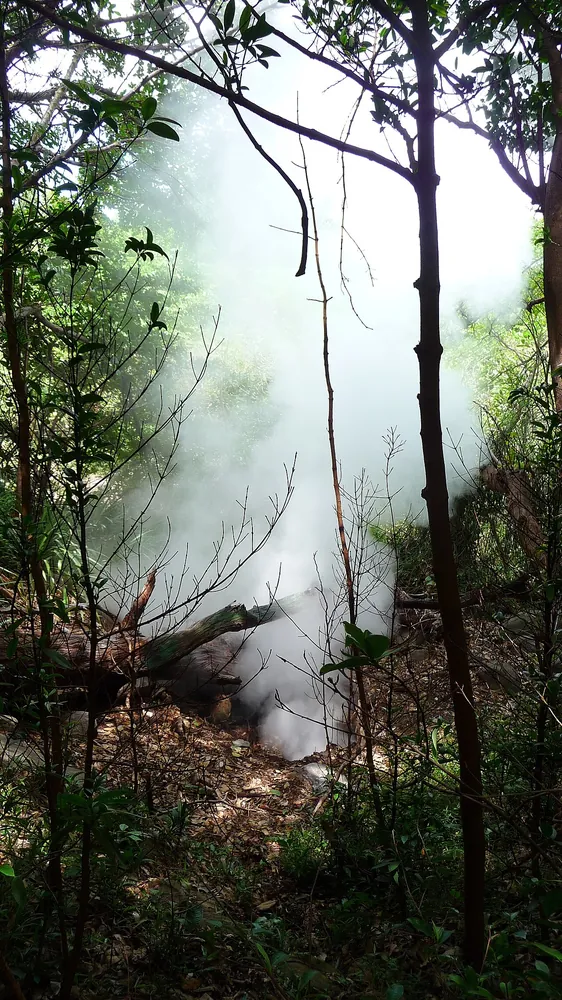Las Pailas Volcanic Loop, sendero en Guanacaste (foto 3 de 3)