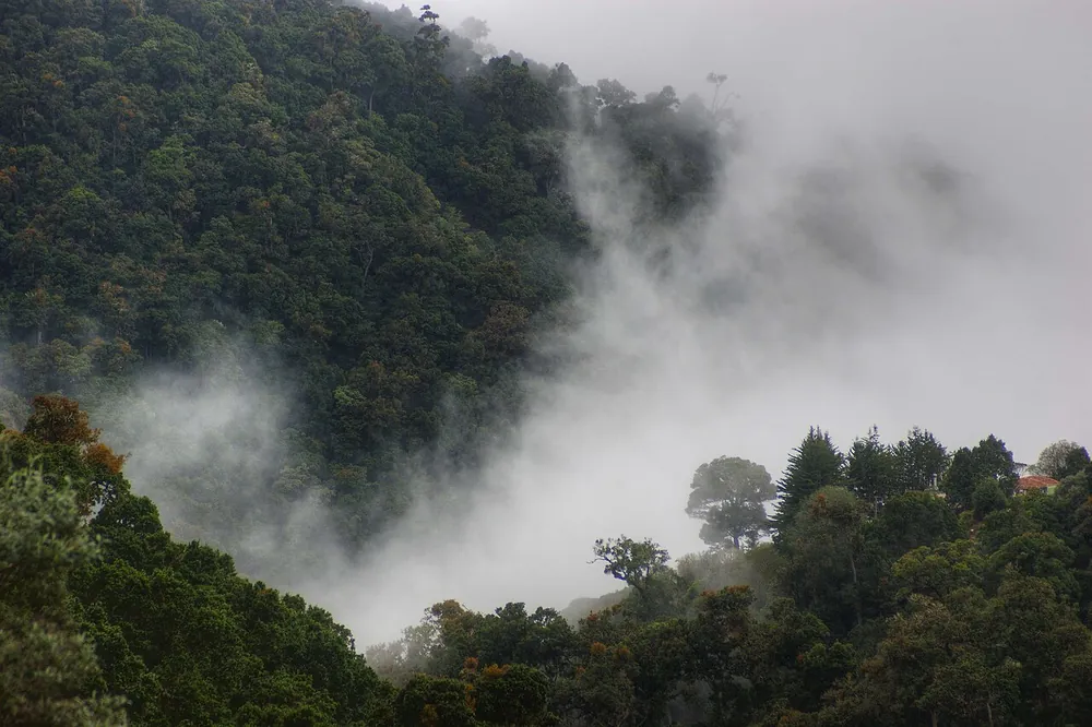 Parque Nacional Los Quetzales, parque en San José y Valle Central (foto 2 de 4)