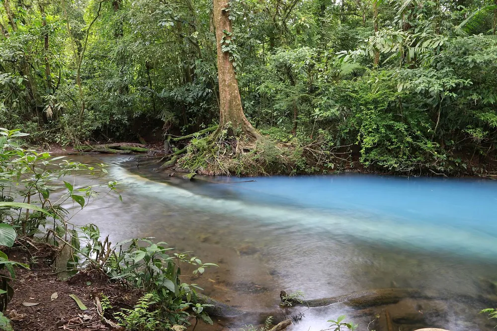 Los Teñideros (where Río Celeste turns blue), nature spot in Arenal & La Fortuna