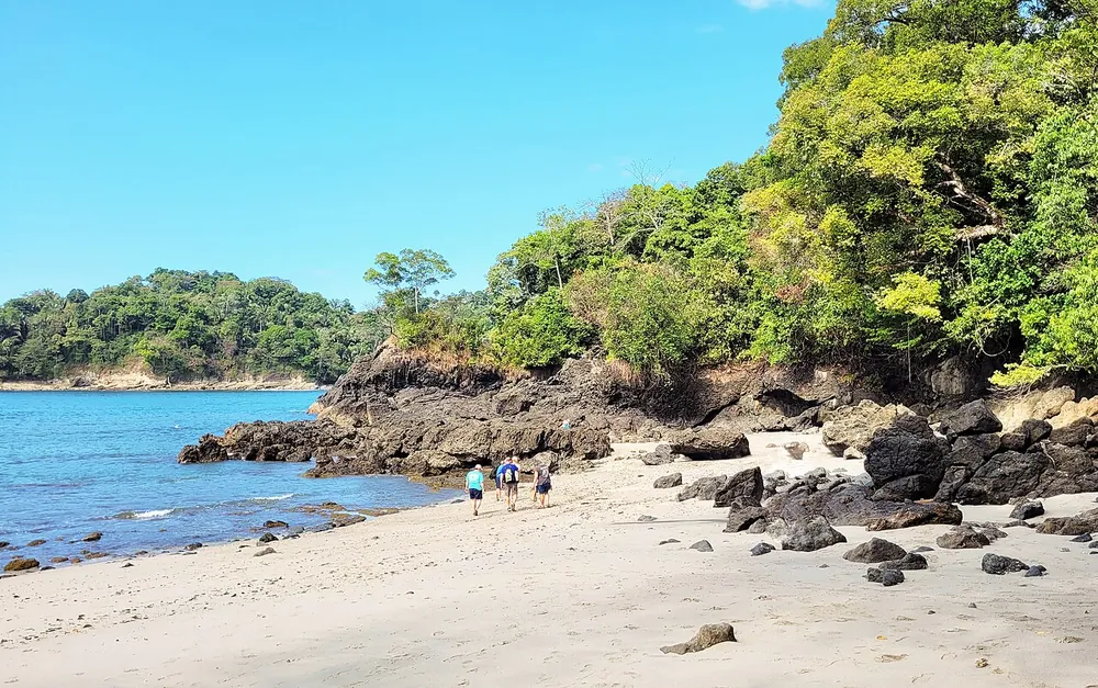Manuel Antonio National Park, sendero en Pacífico Central (foto 1 de 4)