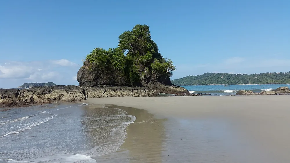 Manuel Antonio National Park, sendero en Pacífico Central (foto 3 de 4)