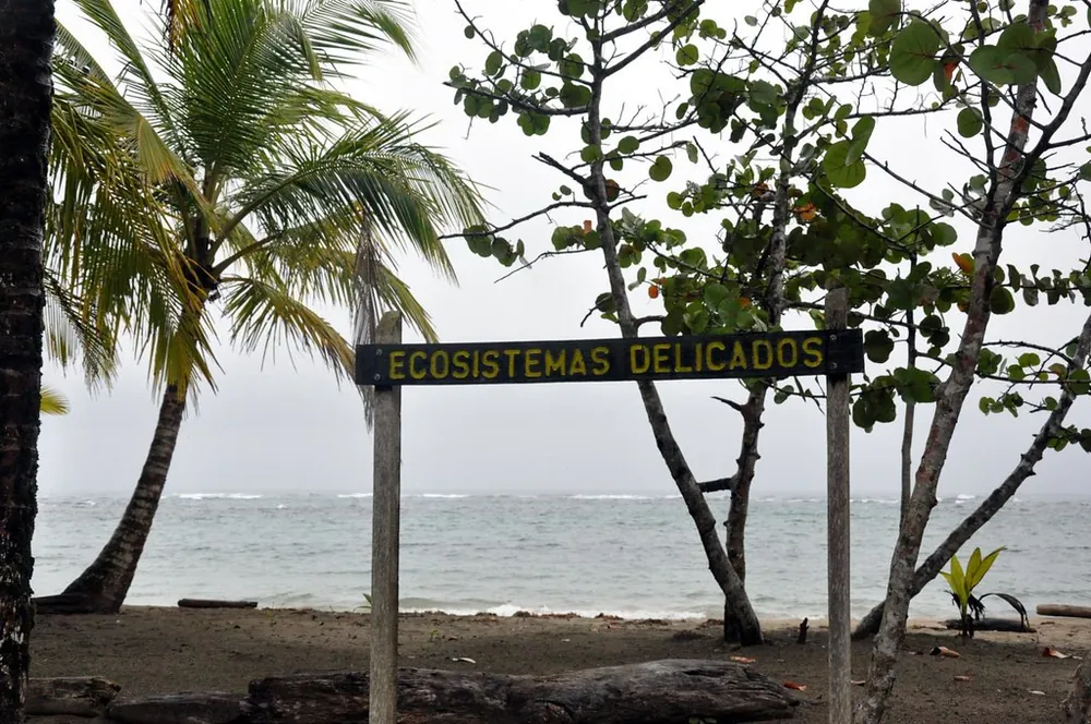 Manzanillo Village, lugar emblemático en Caribe (foto 2 de 3)