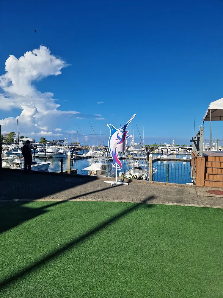 Marina Pez Vela boardwalk, landmark in Central Pacific (photo 4 of 6)