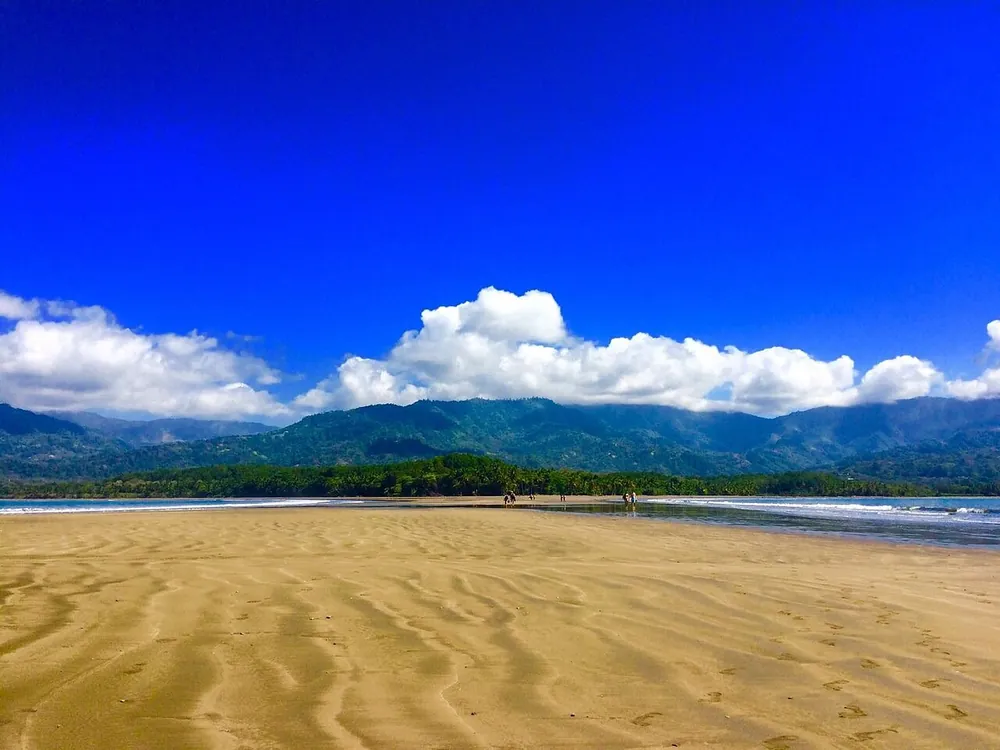 Marino Ballena National Park (Uvita entrance), park in Central Pacific (photo 2 of 5)