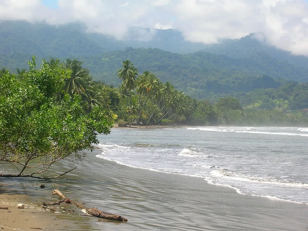 Marino Ballena National Park (Uvita entrance), park in Central Pacific (photo 3 of 5)