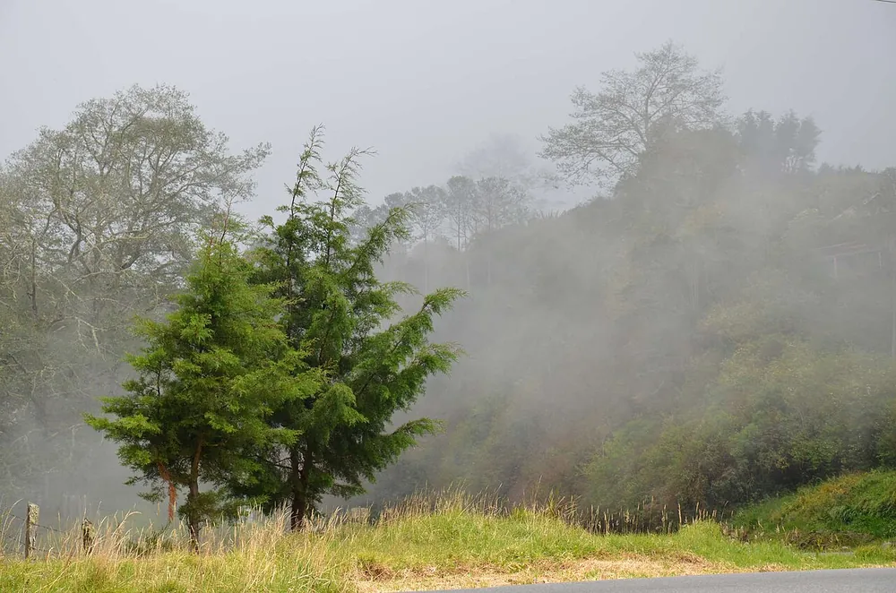 Cerro de la Muerte lookout (Cerro Buena Vista), mirador en San José y Valle Central (foto 1 de 4)