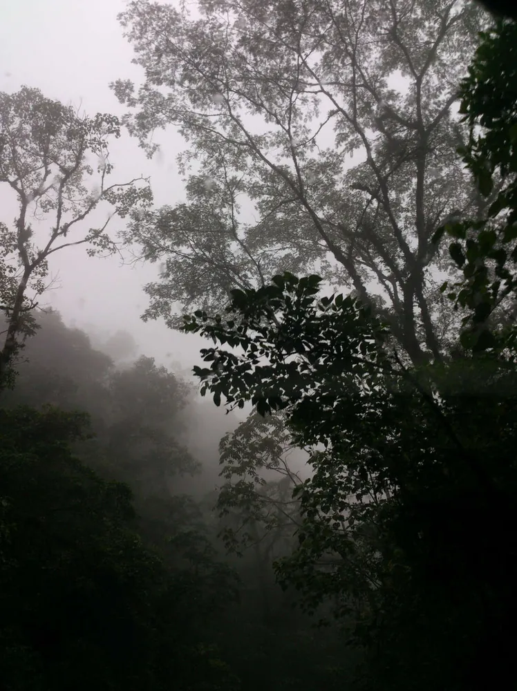 Cerro de la Muerte lookout (Cerro Buena Vista), mirador en San José y Valle Central (foto 3 de 4)