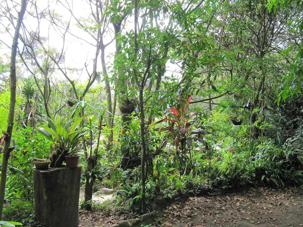 Monteverde Orchid Garden, nature spot in Monteverde (photo 2 of 4)