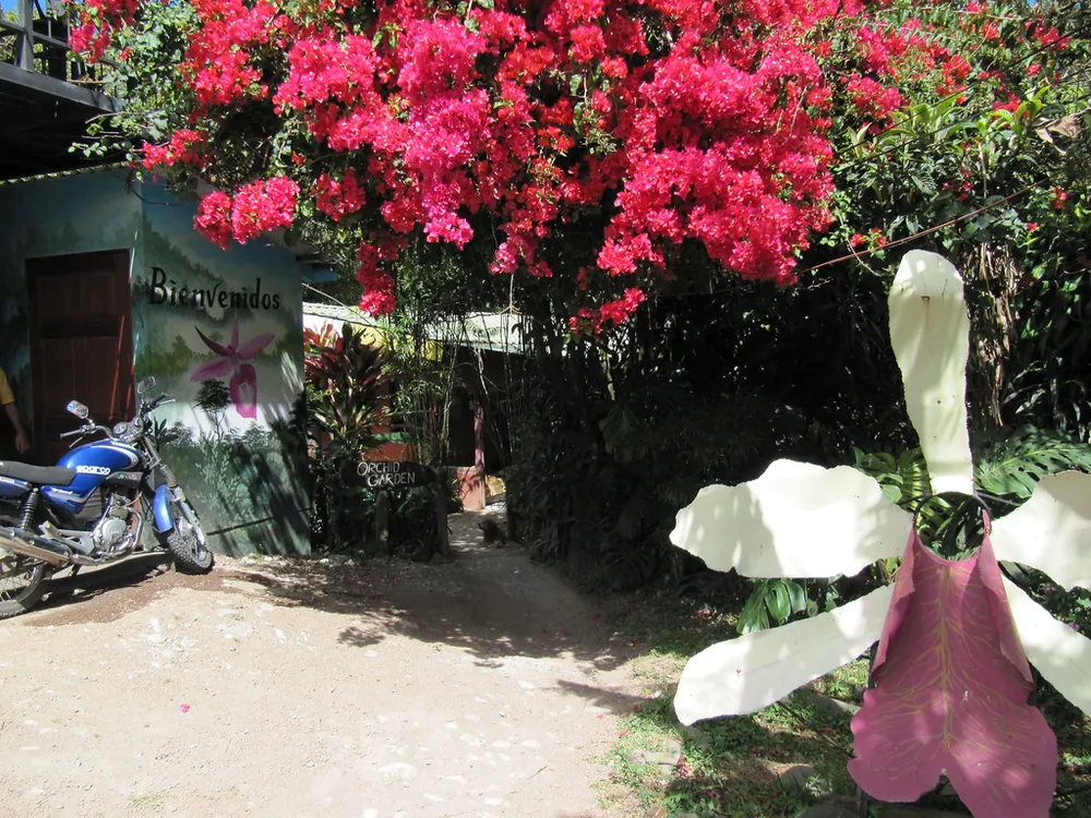 Monteverde Orchid Garden, nature spot in Monteverde (photo 3 of 4)