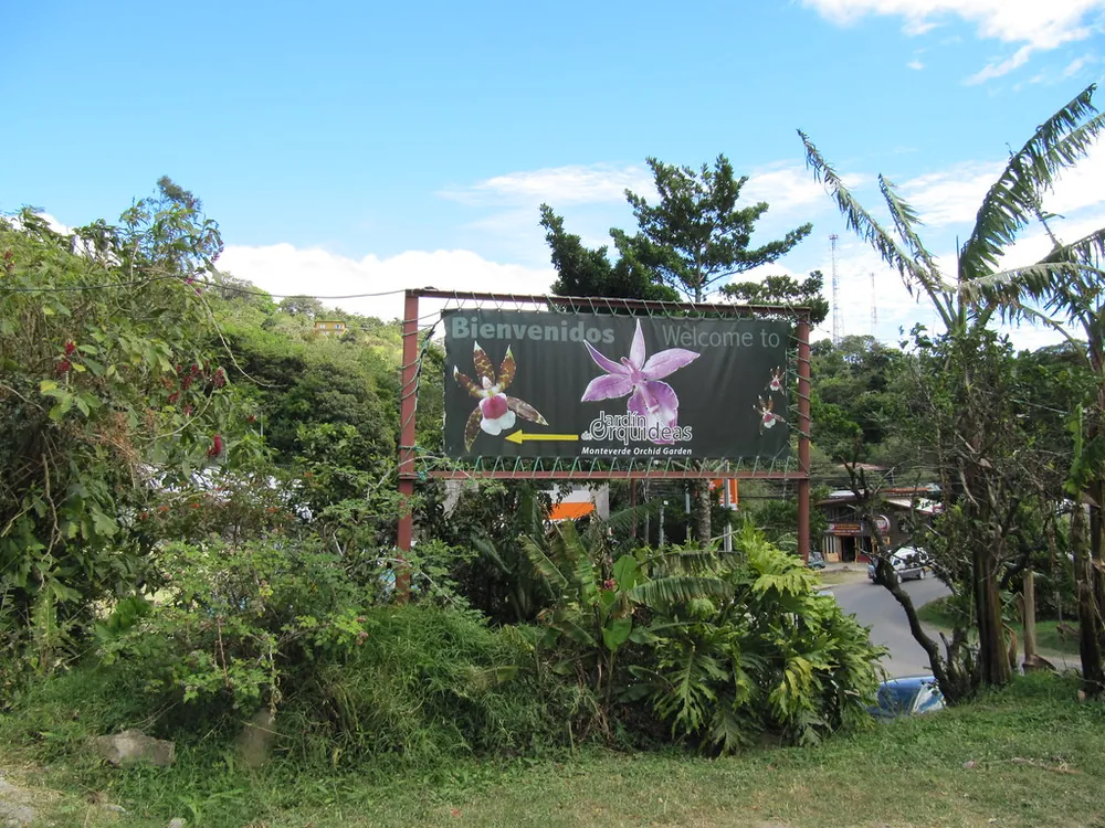Monteverde Orchid Garden, nature spot in Monteverde (photo 4 of 4)