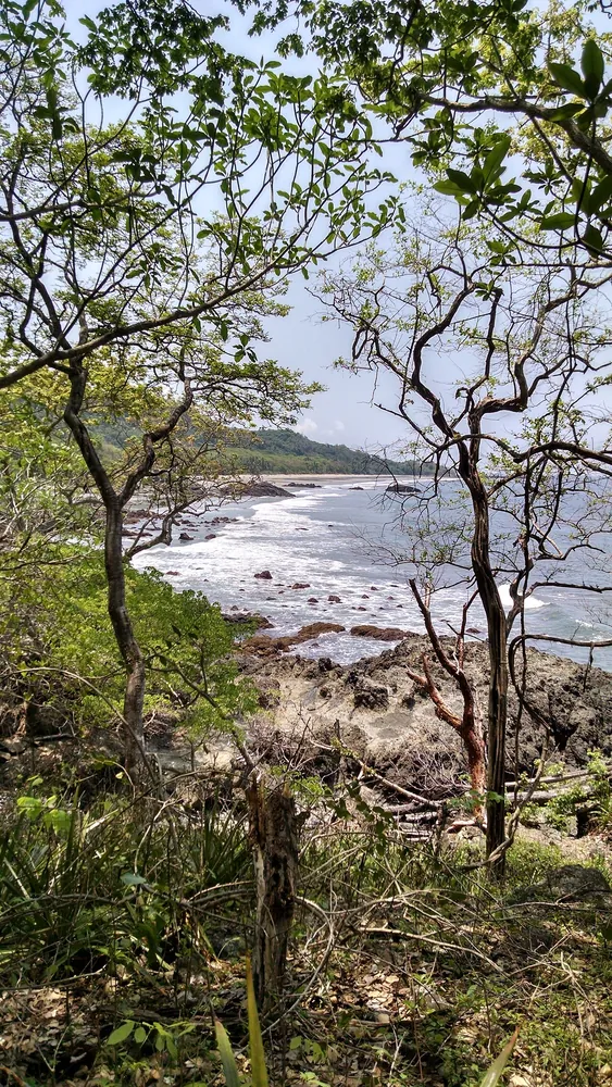 Montezuma Coast Trail (Nicolás Wessberg Reserve), sendero en Península de Nicoya